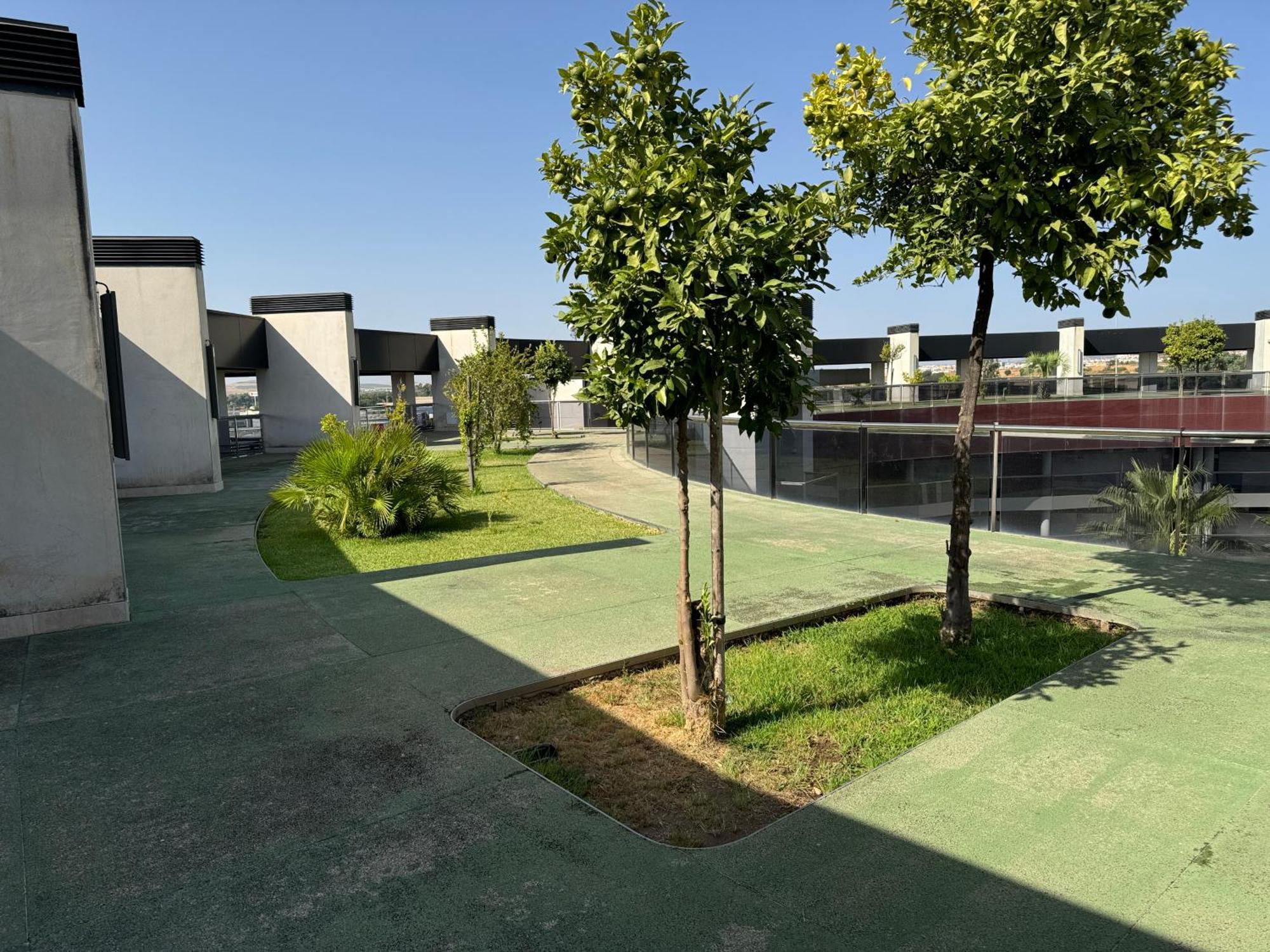 Apartamento Cotur 121 Parking Gratuito Córdoba Eksteriør bilde